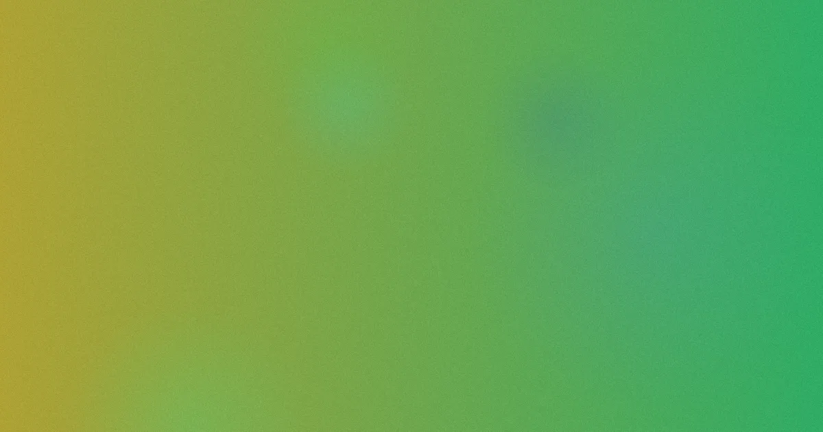 日板子怎么用：实测心得